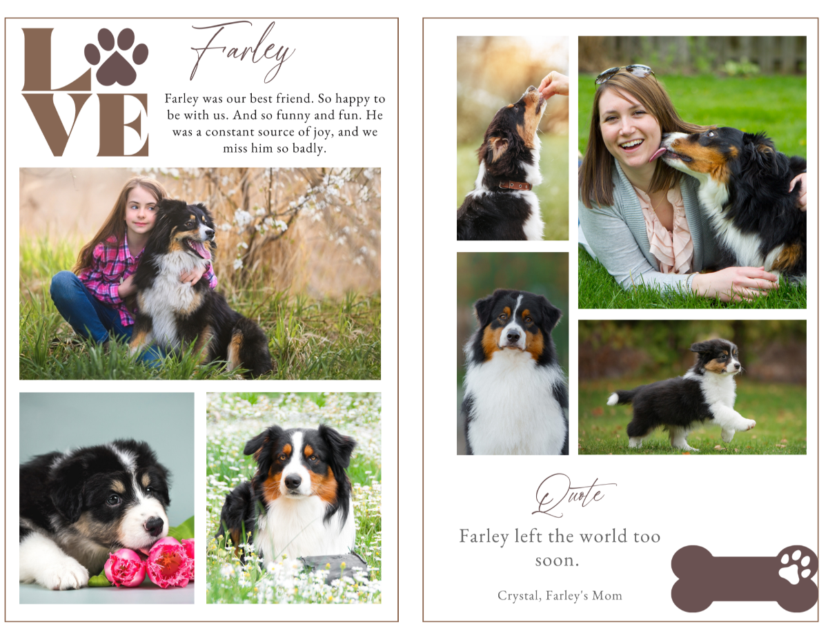 Photo collage page with space for a heartfelt poem or meaningful quote, highlighted with warm paw-print flourishes.