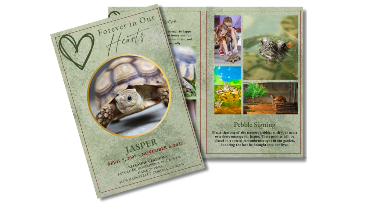 Front cover and interior photo collage page spread of the Scales of Love pet funeral program featuring soft green textures, hand-drawn heart motif, tortoise portrait in gold frame.
