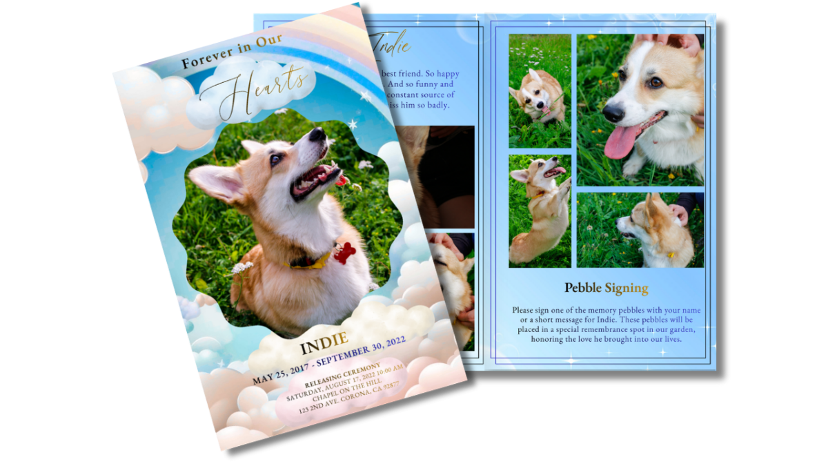 Front cover displayed beside open interior pages, showing the rainbow-and-cloud cover design next to coordinated collage, pebble signing, and tribute layouts in soft blue tones.