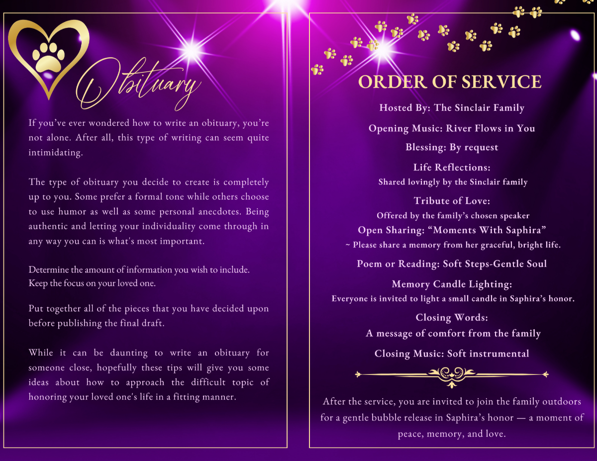 Purrrfect Purple Funeral Program — Obituary page with golden paw-heart icon and compassionate text beside a structured order of service with gold paw borders and soft spotlight effects over a purple gradient.