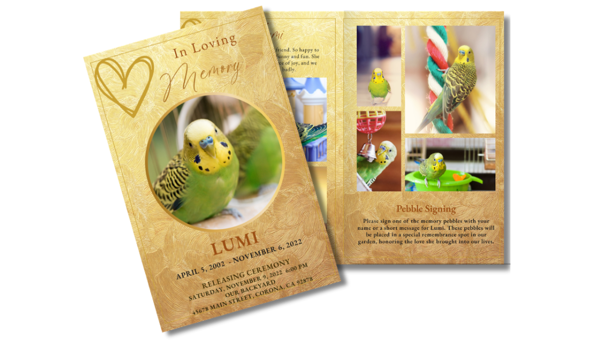 Front cover and interior page photo collage spread with heart-feather illustration, memorial poem ‘Morning Song,’ featuring yellow and green budgie portrait framed in gold.