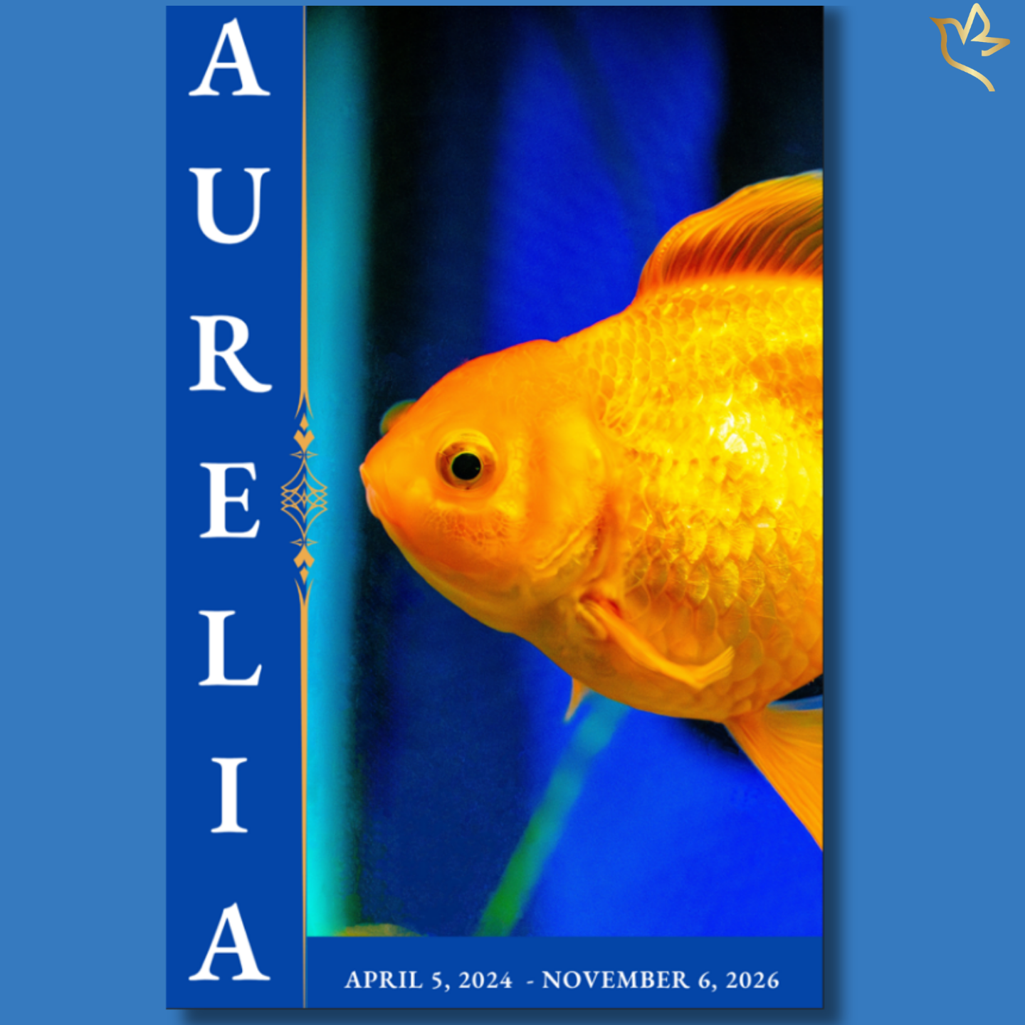 Close-up of a vibrant golden fish swimming against a deep blue background, with rich contrast and a calm, flowing layout featuring vertical name typography along the side.