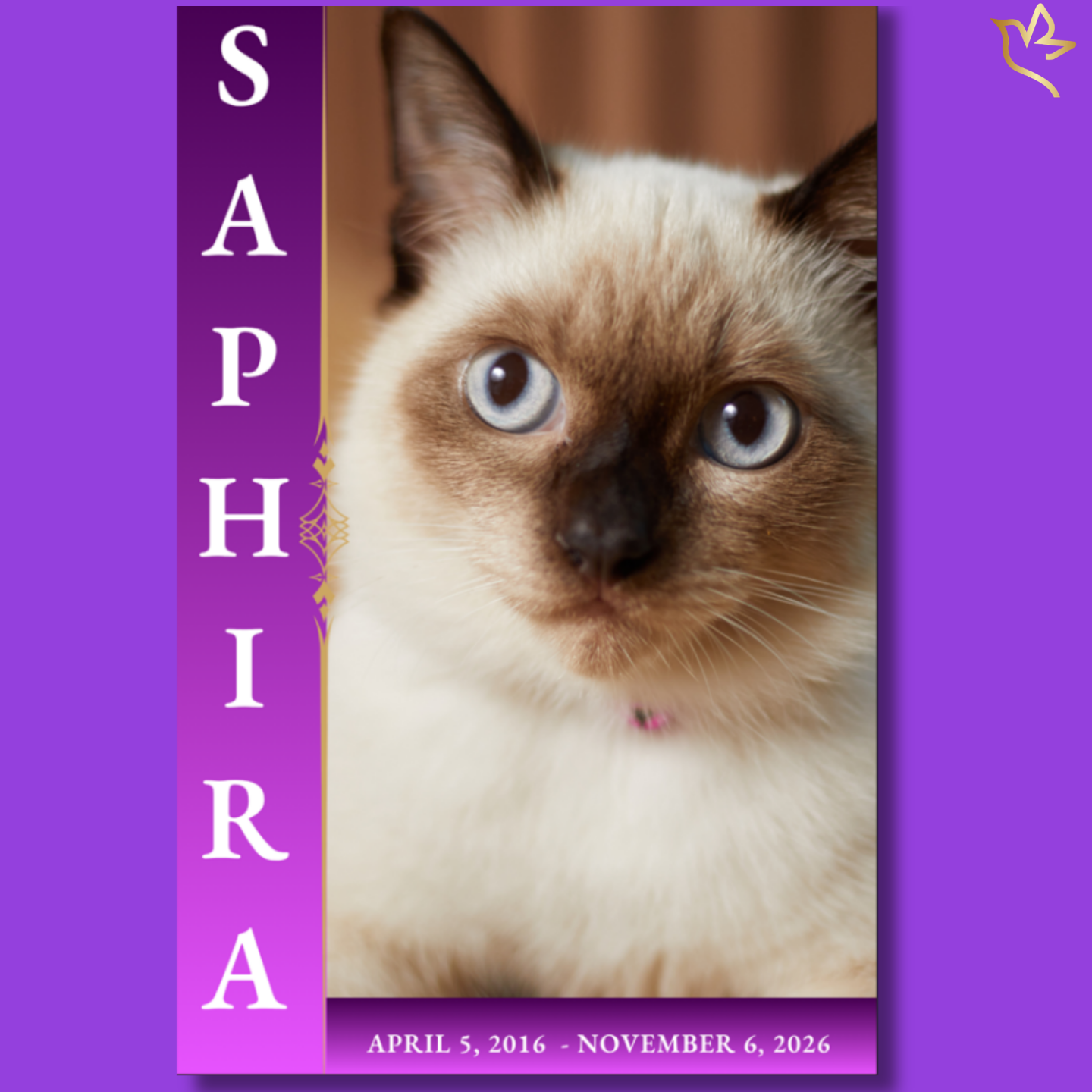 Pet cat memorial funeral program cover featuring a Siamese cat portrait with soft purple gradient background, gold accents, vertical name layout, and elegant typography.