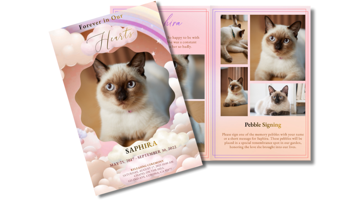 Front cover displayed beside the open interior pages of the Where Gentle Paws Walk pet funeral program, showing the pastel rainbow and cloud cover design next to coordinated obituary, photo collage, and pebble signing spreads in soft blush and peach tones.