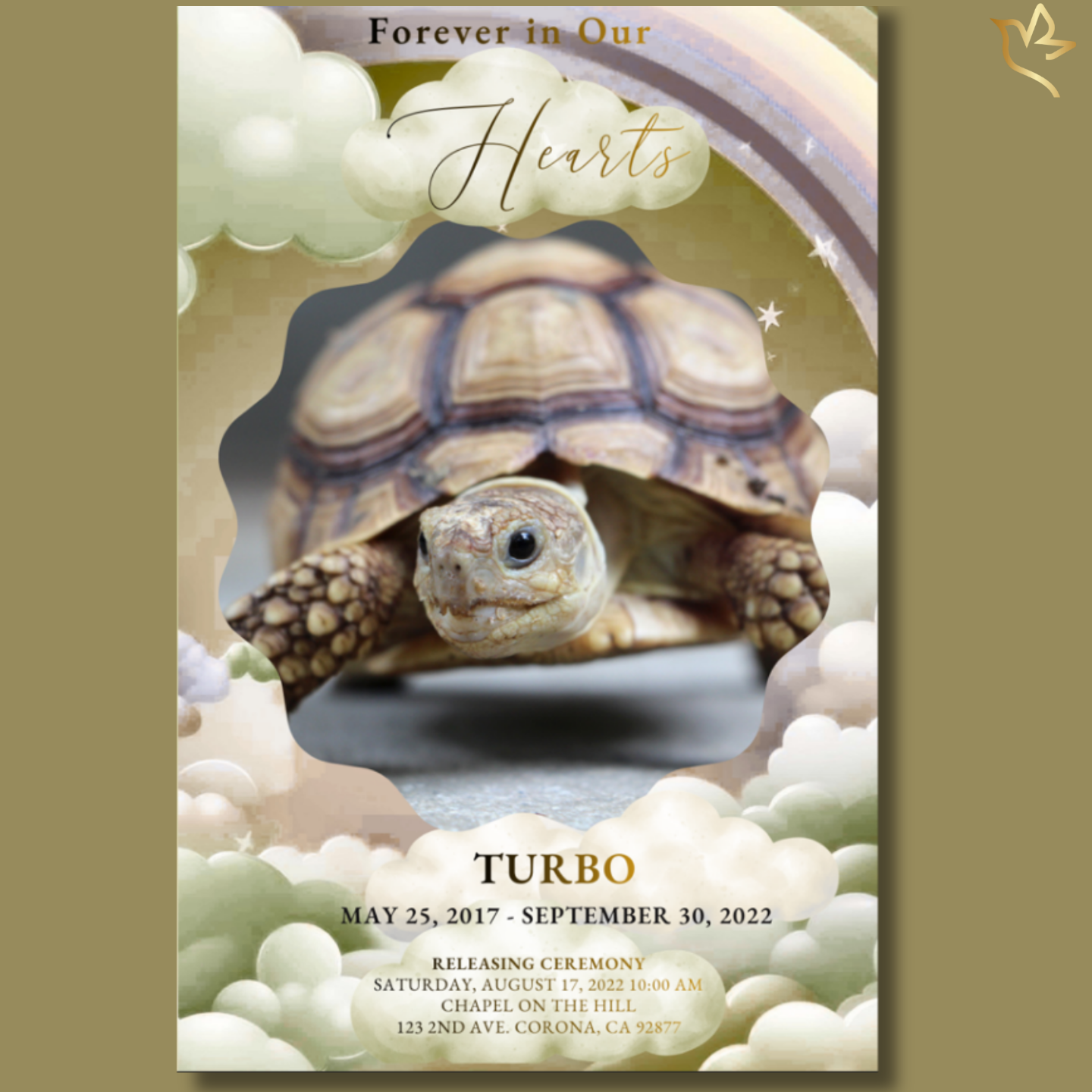 Ancient Soul, Eternal Rest Pet Reptile Funeral Program — Description: Soft sage-green memorial program cover featuring a beloved tortoise framed in gentle clouds beneath a muted rainbow, with warm golden accents honoring a peaceful reptile companion.