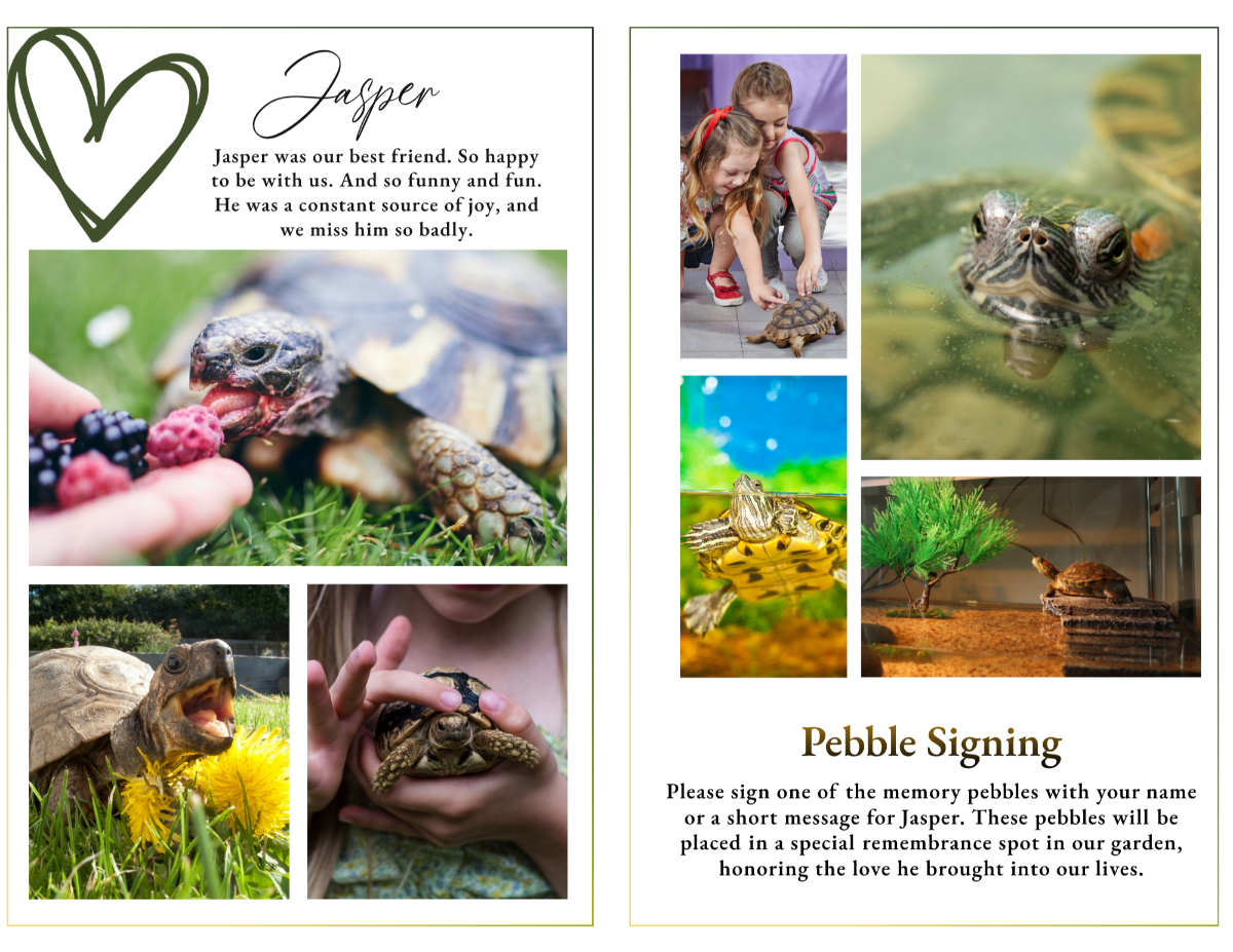 Thank you and closing pages with simple layout, soft earth tones, and minimal decorative elements for a peaceful conclusion.