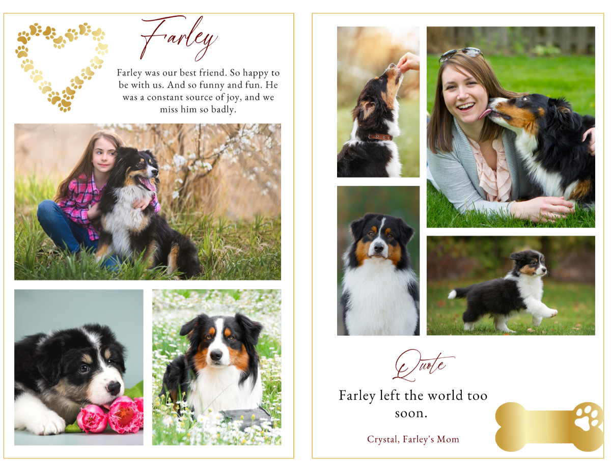 Photo collage and quote layout showcasing joyful pet memories and elegant golden bone illustration.