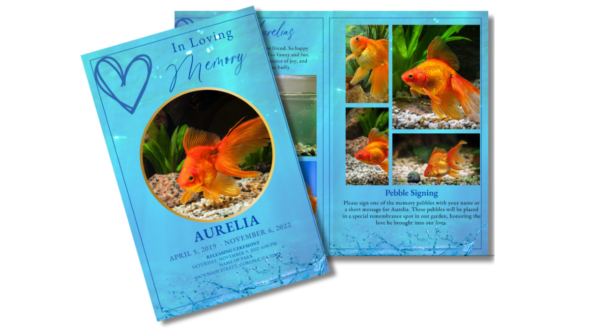 Front cover shows circular goldfish portraita and a soft water-texture background. Open interior pages with photo collage and blue heart motif.