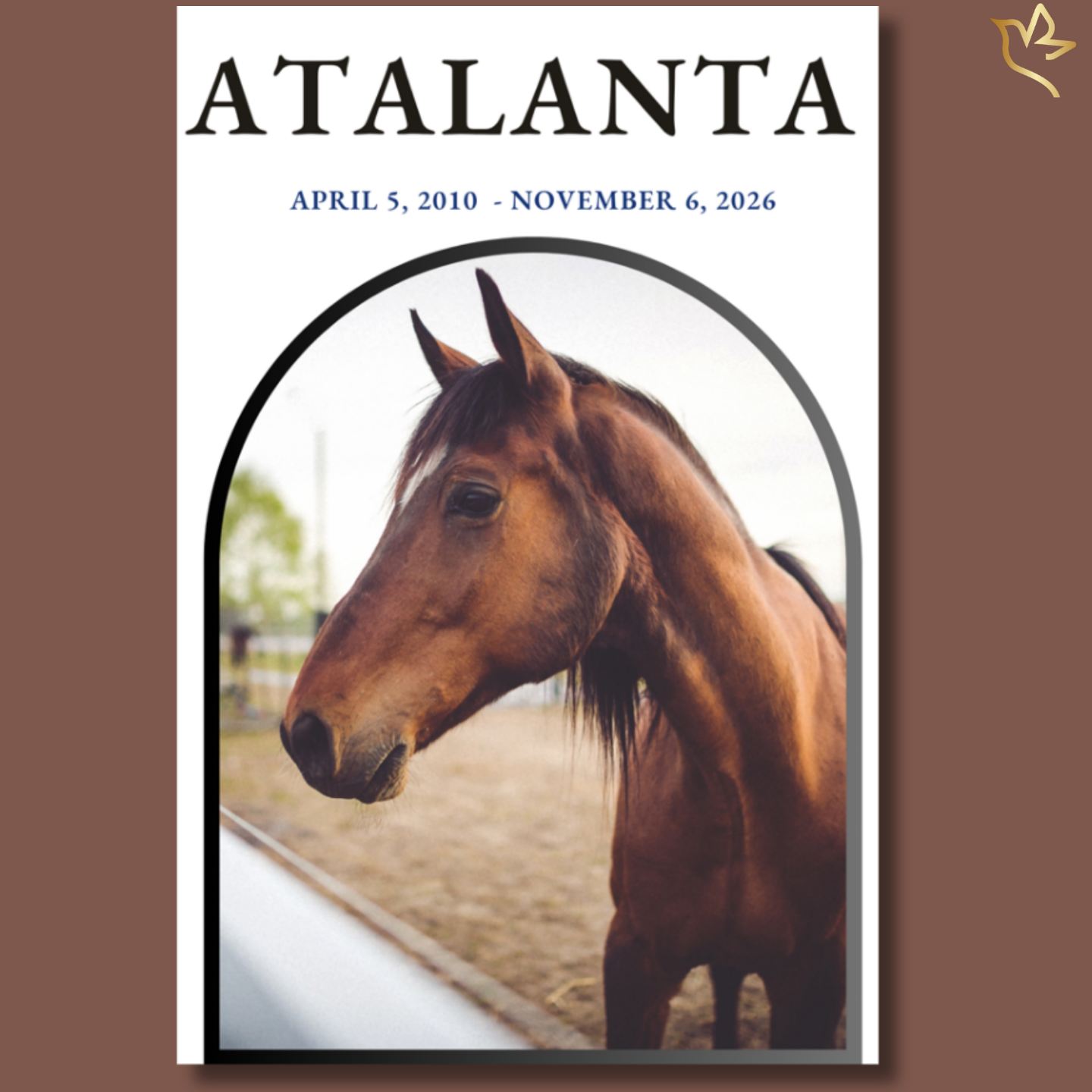 A gentle portrait of a horse framed within a soft arched border, set against a calm, neutral background—symbolizing quiet strength, loyalty, and a life deeply cherished.