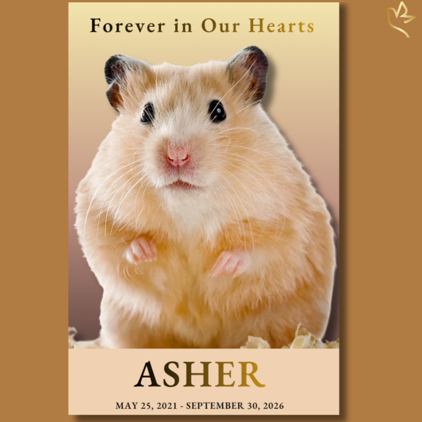 Forever My Tiny Friend small pet funeral program cover featuring a golden hamster portrait on a warm beige background with soft memorial typography and gentle gold accents honoring a beloved pocket pet.