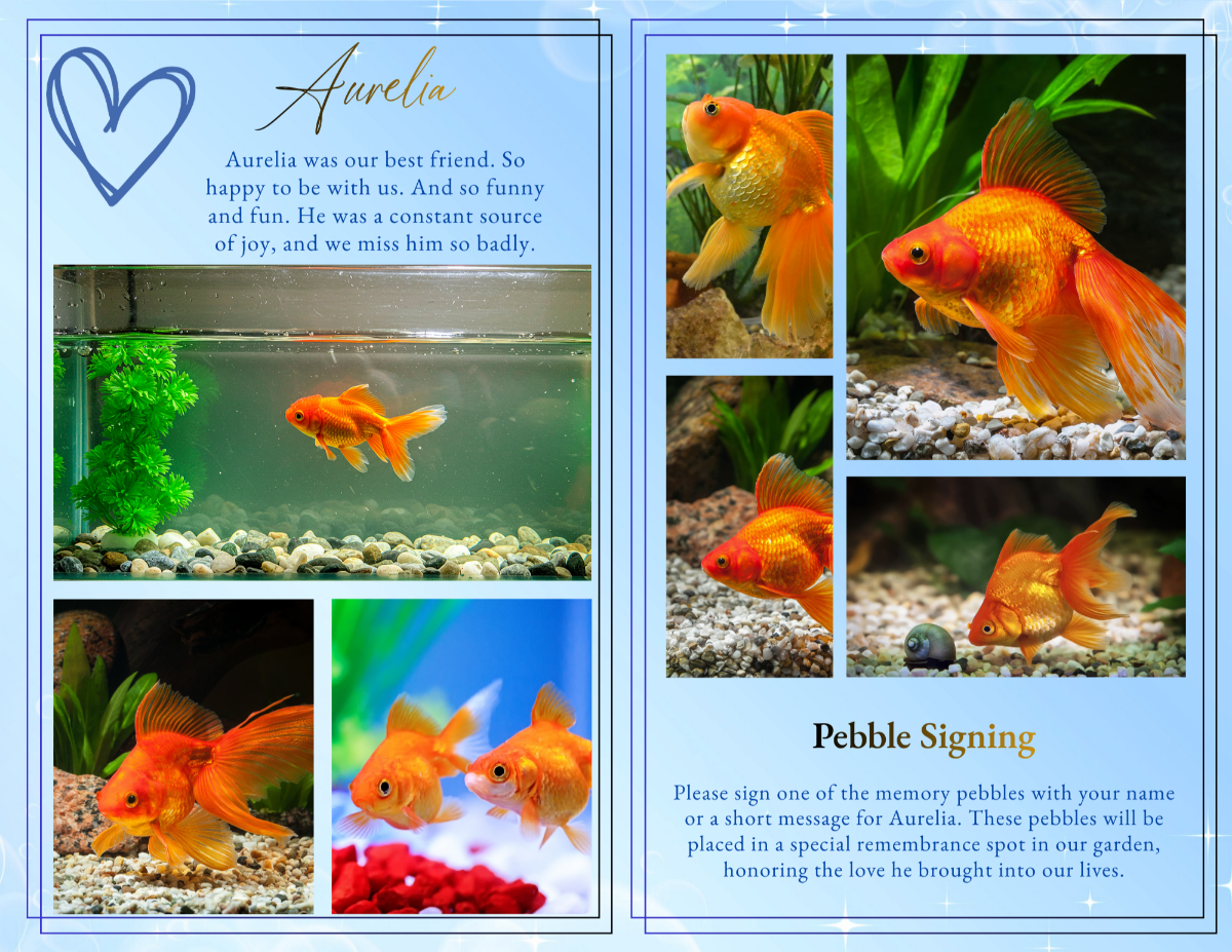 Photo collage and pebble signing spread featuring multiple goldfish portraits arranged in clean grid layouts alongside a memorial pebble signing message inviting guests to share remembrance notes.