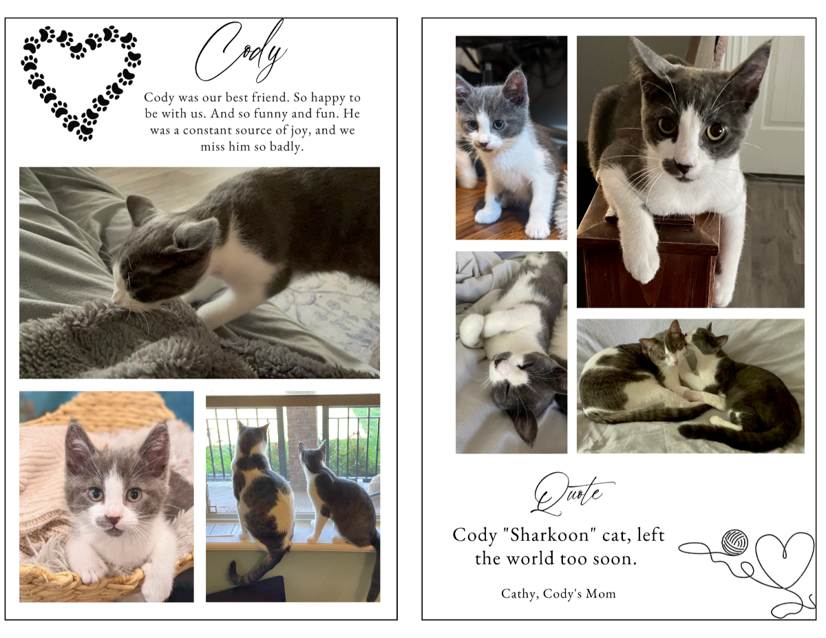 Simply Cherished cat photo collage and quote pages featuring favorite feline photographs, kitten memories, family moments, meaningful quotes, and treasured keepsakes celebrating the life of a beloved cat.