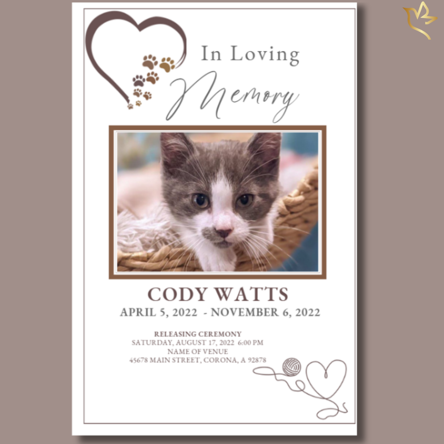 Front cover of “Missing You Cat” pet memorial program with heart and paw-print design and photo of gray-and-white cat in basket