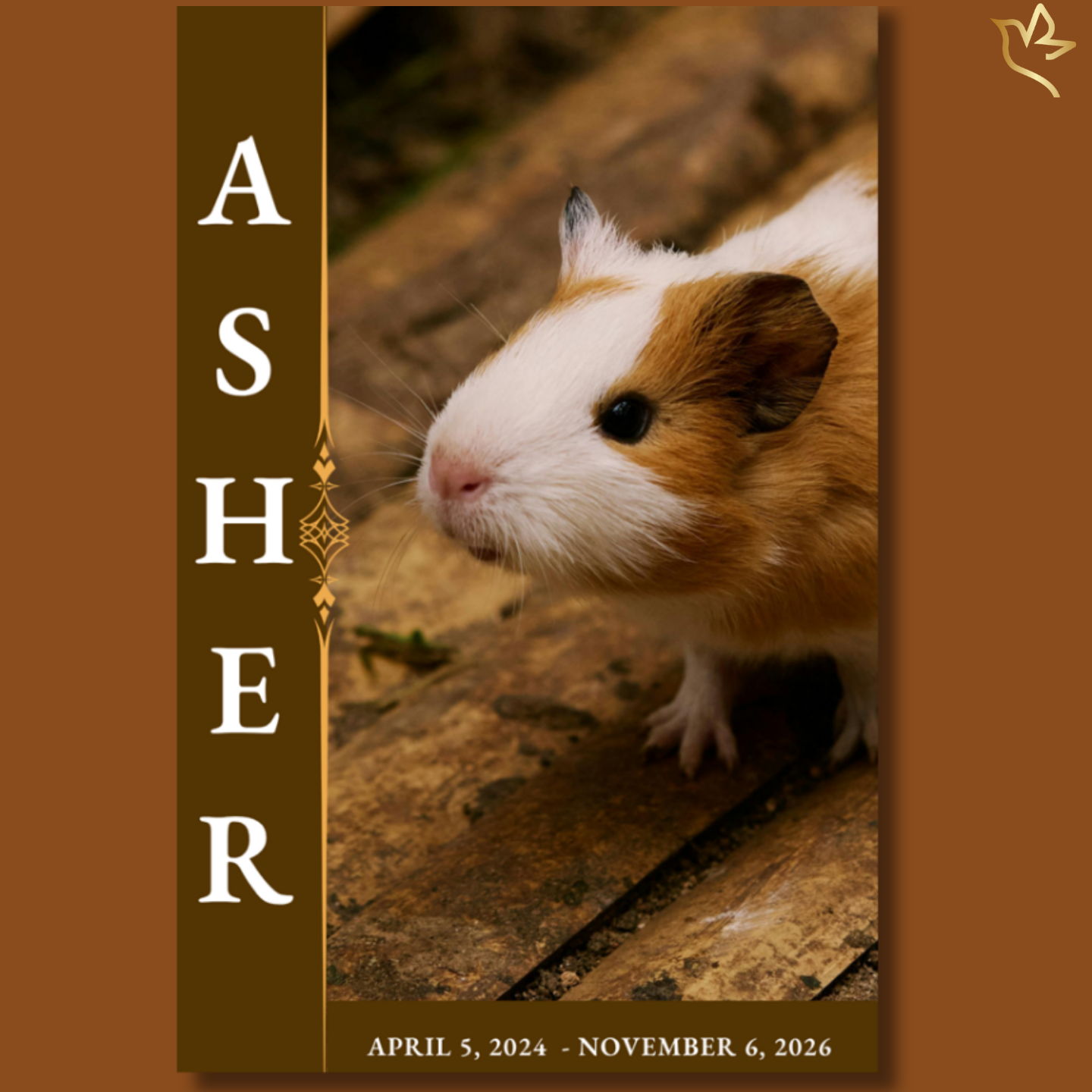 Small pet funeral program cover featuring a tiny hamster on a rustic wooden surface, with warm brown tones and soft lighting, paired with elegant vertical name typography.