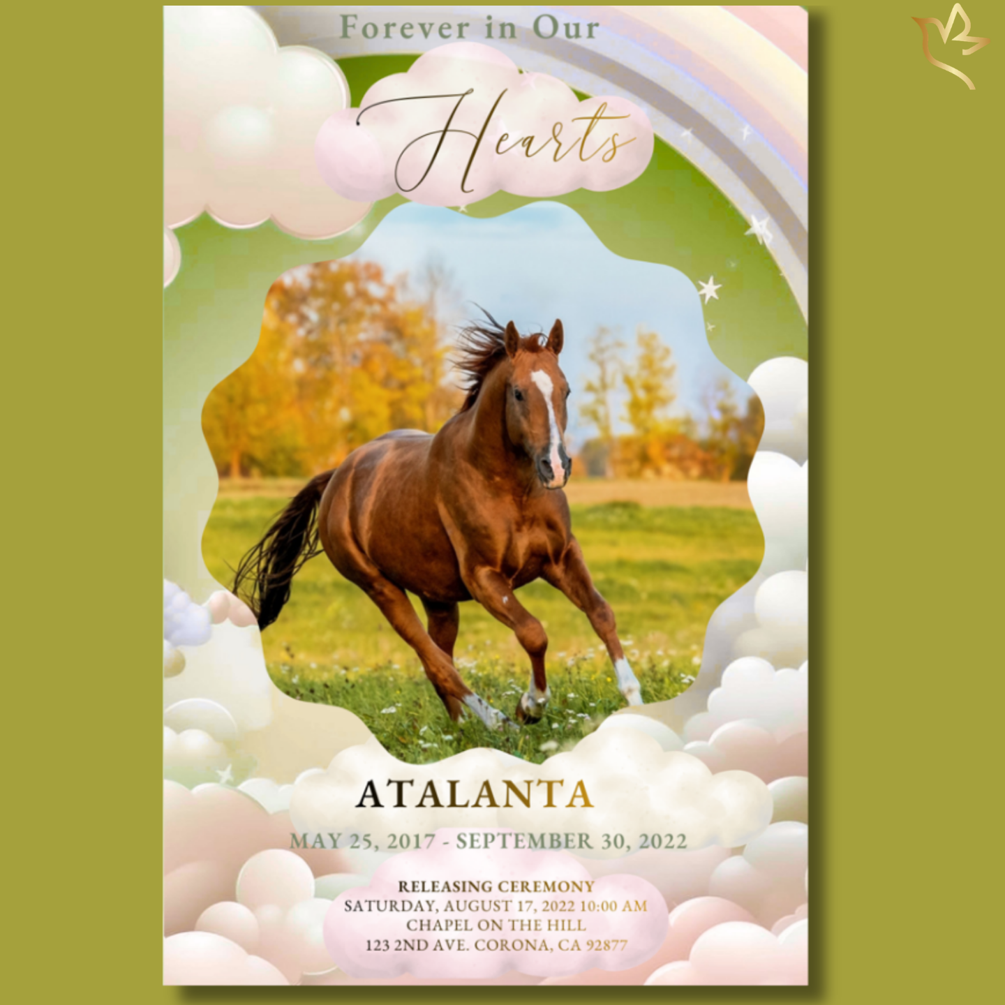 Where Spirits Run Free funeral program cover featuring a chestnut horse running freely across a golden field, framed by soft clouds and a pastel rainbow sky with gentle green background and memorial text below.