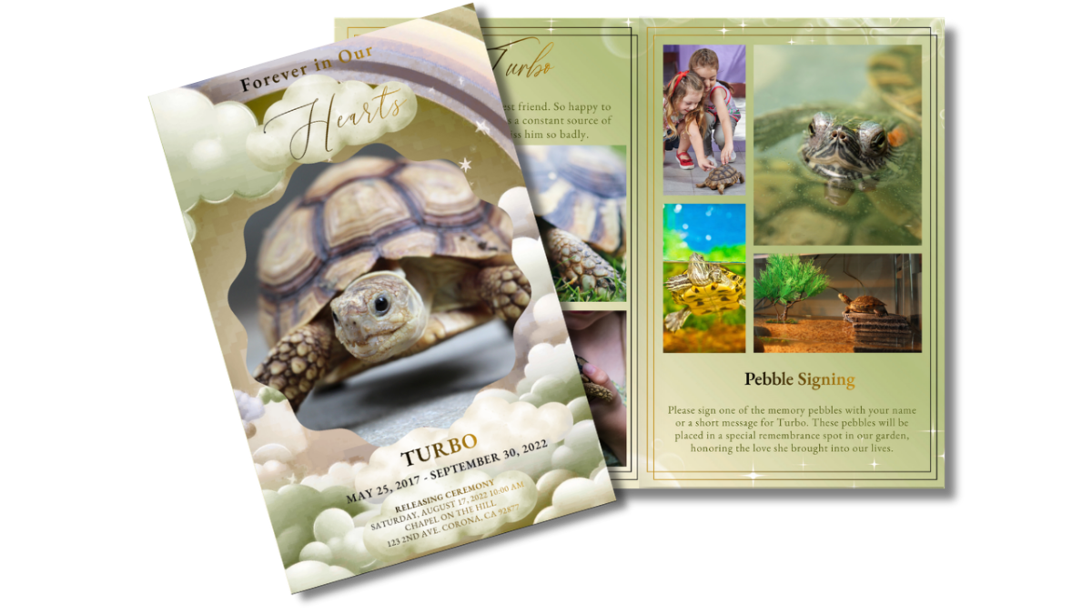 Front cover displayed beside open interior pages, showing the sage cloud-and-rainbow cover design next to coordinated collage, pebble signing, and tribute layouts in warm green and gold tones.