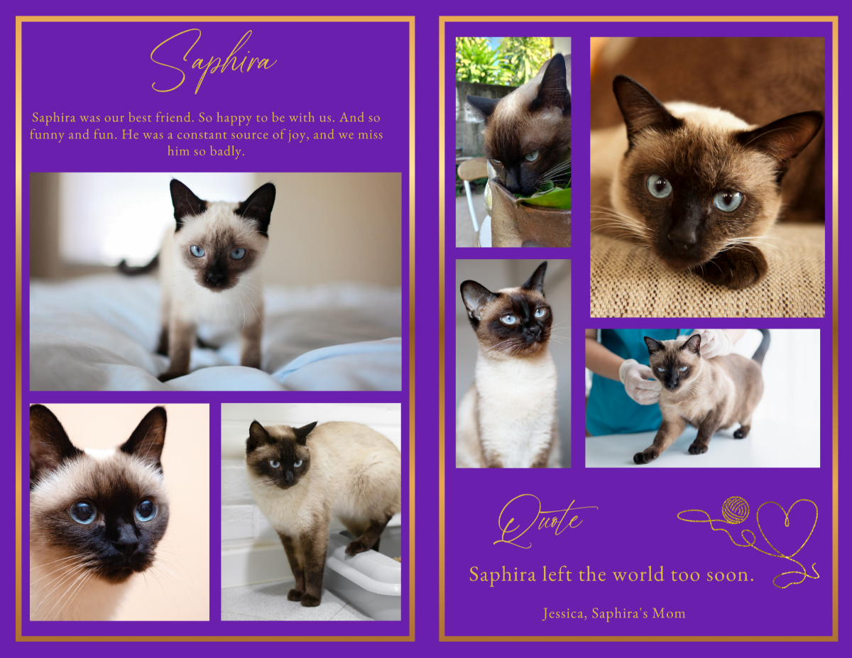 Photo collage and tribute pages preserving cherished memories, favorite moments, family connections, playful adventures, and a lifetime of companionship.