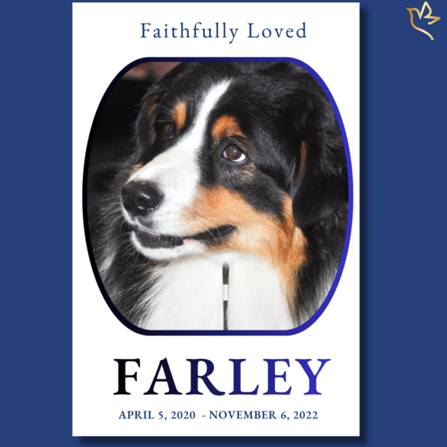 Pet dog funeral program cover featuring a soft neutral background, rounded portrait frame with a tri-color dog, blue accent border, and elegant typography for a gentle and loving memorial design.