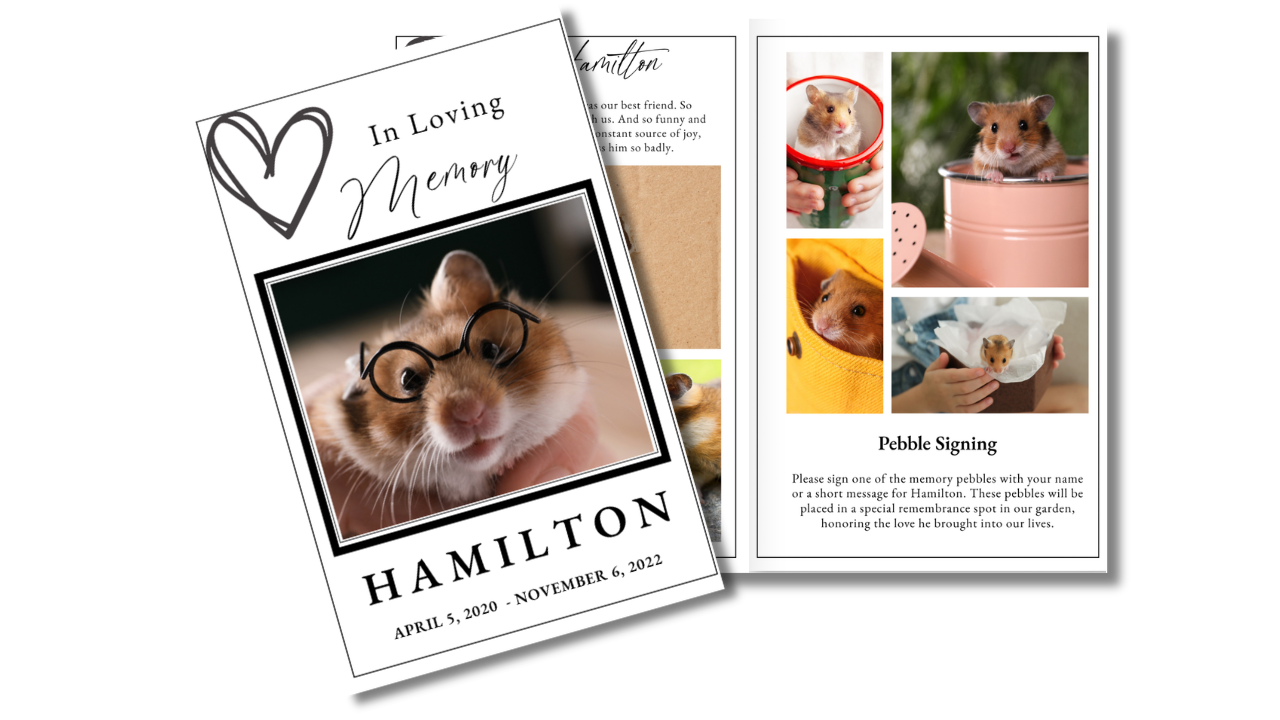 Simply Loved pet funeral program template preview featuring the memorial cover displayed alongside coordinated interior pages for pet photographs, life stories, remembrance activities, loving memories, poems, and family tributes.