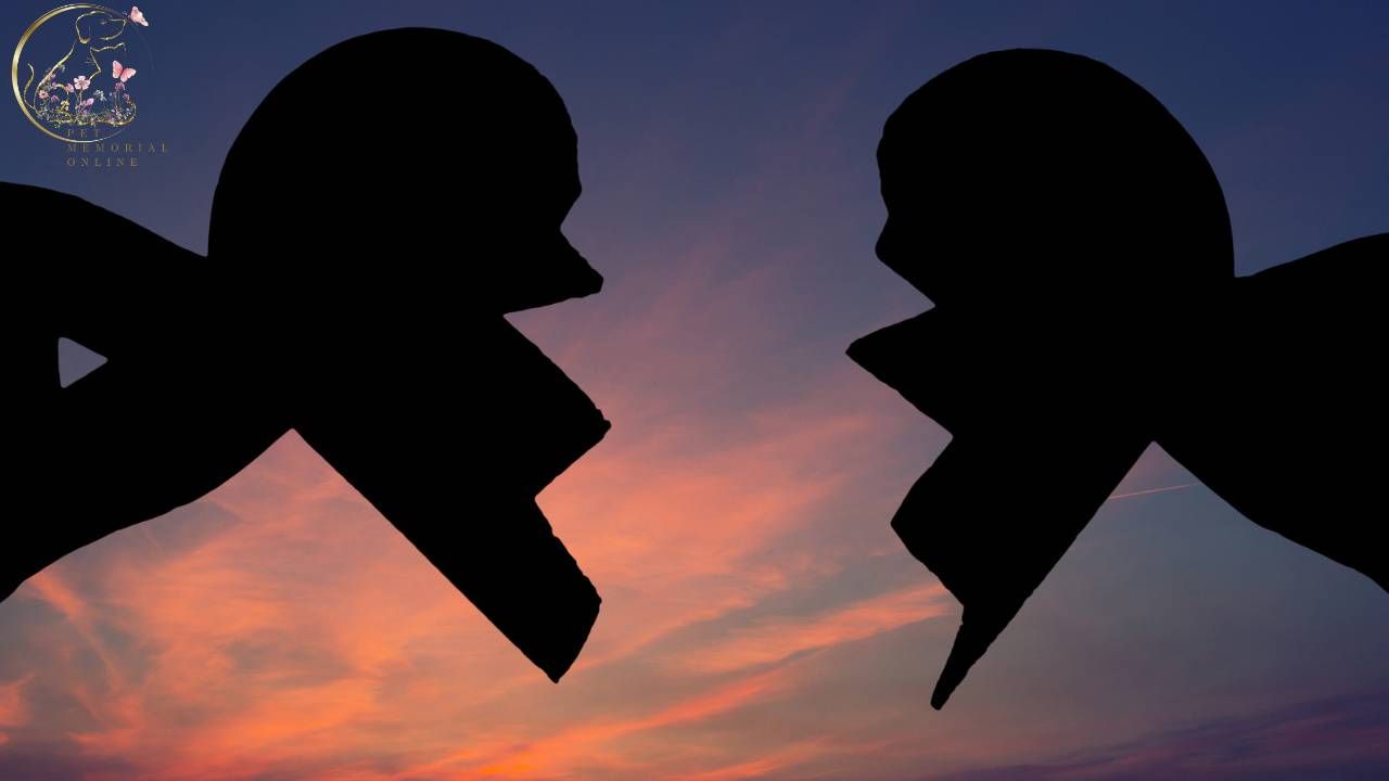 Silhouette of a broken heart held apart against a colorful sunset sky, symbolizing the emotional pain and heartbreak of losing a beloved pet.