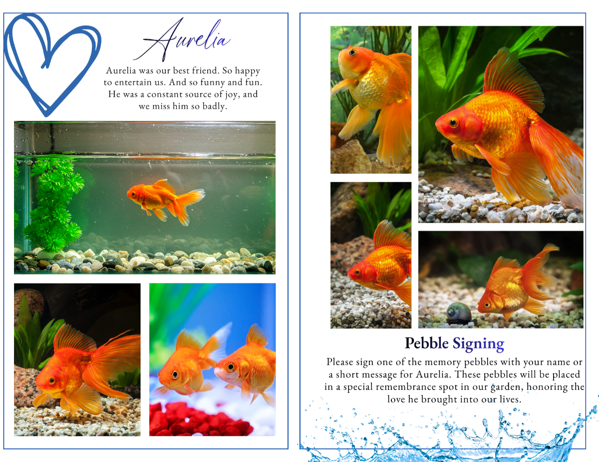 Remembrance pages featuring pebble signing instructions, meaningful tribute spaces, cherished fish photography, and peaceful aquatic-themed layouts celebrating the love and joy a treasured pet fish brought into the home.