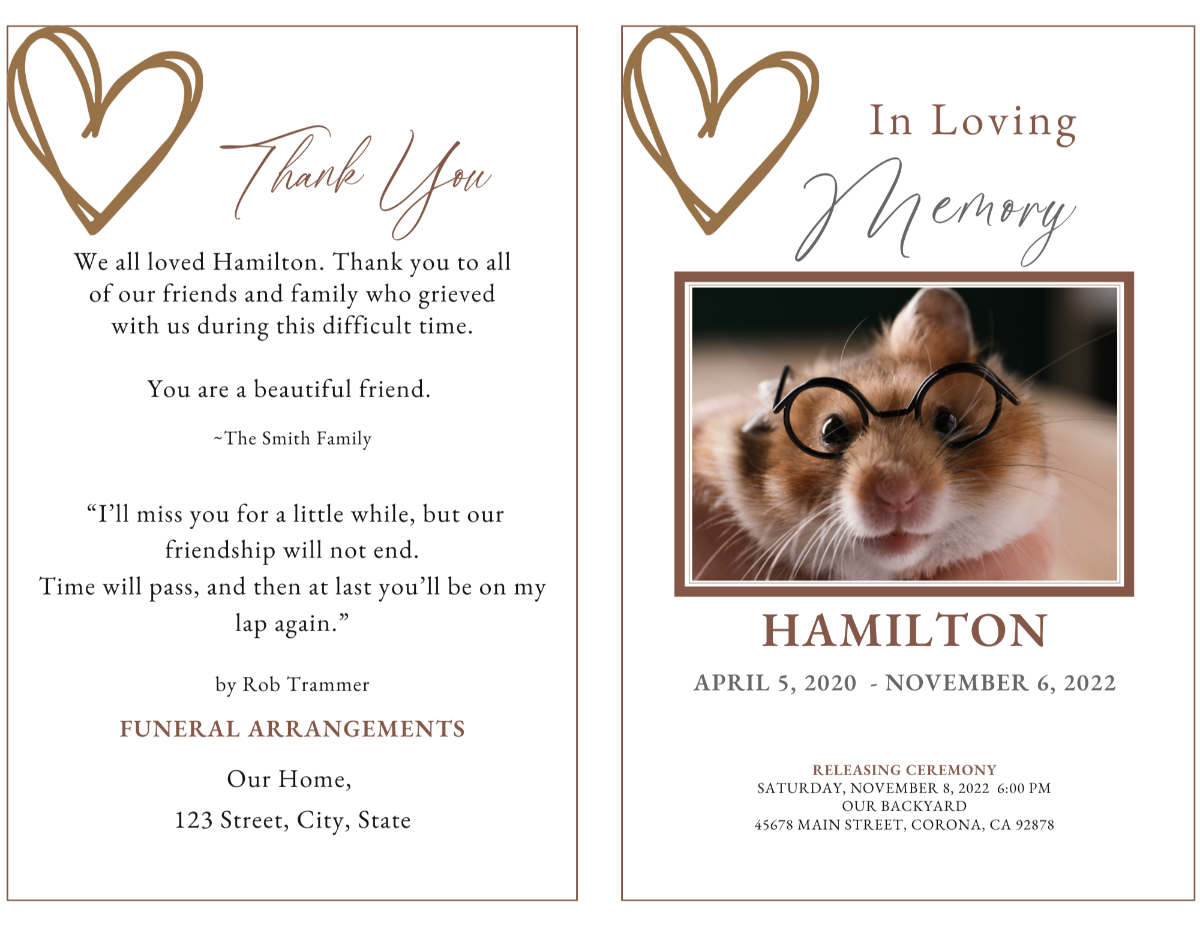 Two-page spread showing cover and thank-you page with warm brown tones and soft minimalist style.
