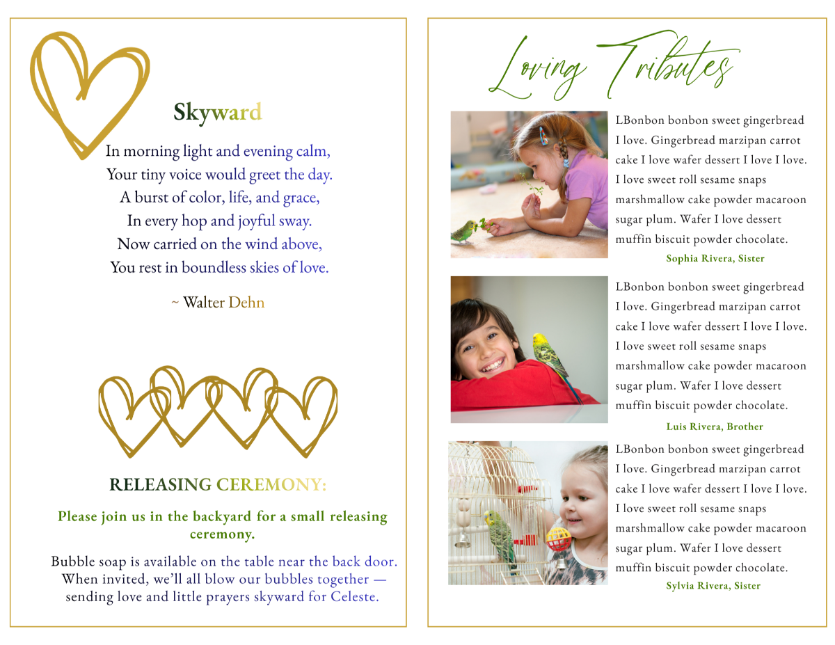 Memorial pages featuring heartfelt poetry, remembrance ceremony details, and comforting language celebrating a beloved bird’s joyful spirit.