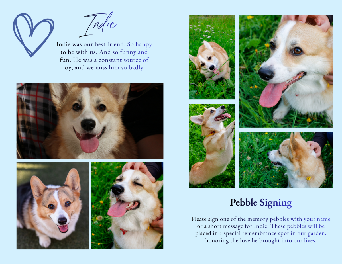 Photo collage tribute spread displaying joyful outdoor photos of a corgi playing in grass and enjoying time with family.