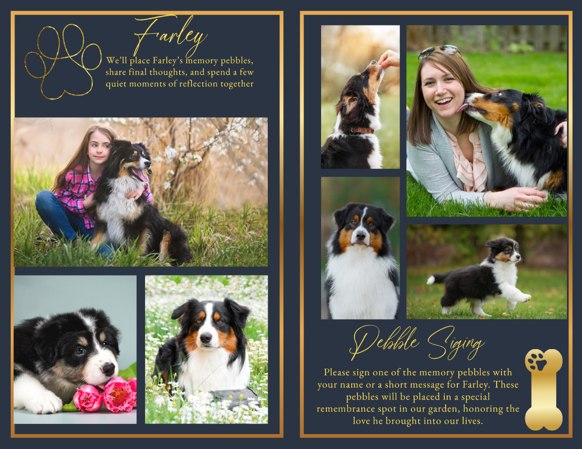 Photo collage and tribute pages showcasing treasured adventures, family bonds, playful moments, lifelong companionship, and memories preserved in a lasting keepsake.