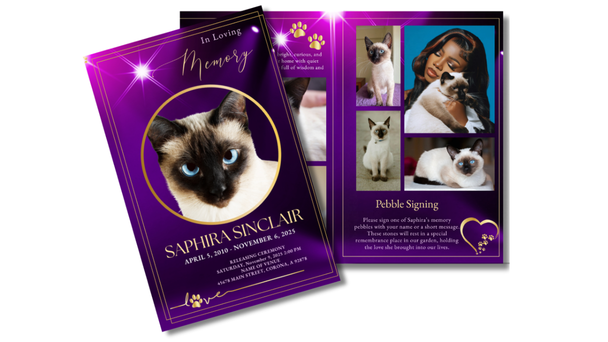 Purrrfect Purple Funeral Program — Open outer spread showing thank-you message with gold paw prints, poem titled “Soft Steps, Gentle Soul,” and a releasing-ceremony section. Spotlit purple background with gold frame accents.