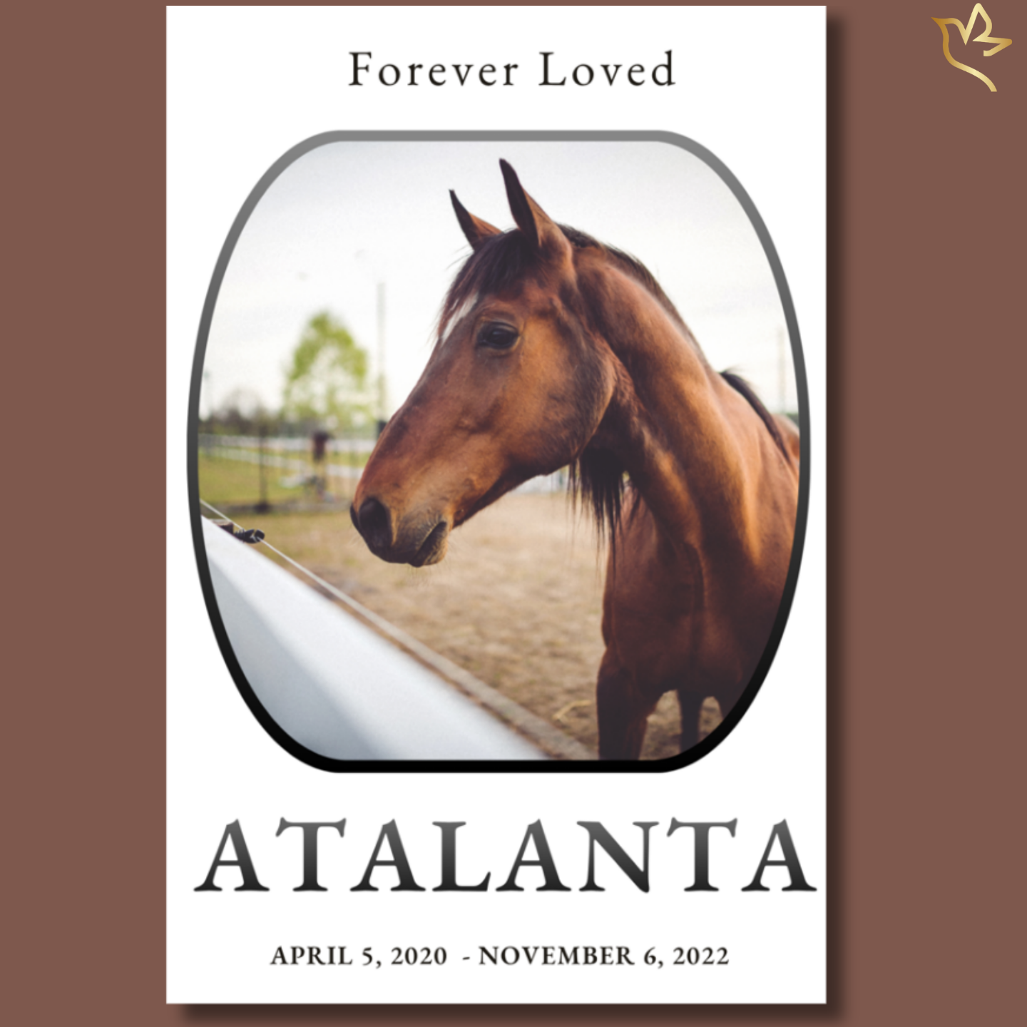 Horse memorial funeral program cover featuring a warm neutral background, rounded portrait frame with a brown horse, elegant serif typography, and a minimal heartfelt design.