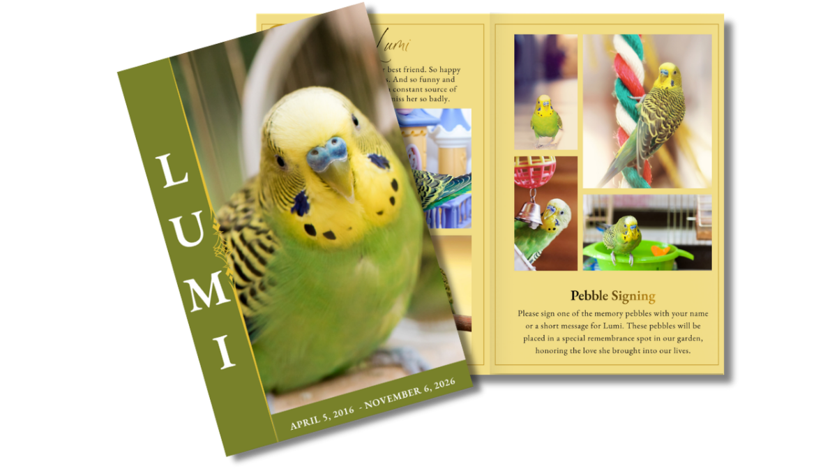 Angled preview of the full program displaying both the cover and interior pages of the Honoring My Feathered Friend Pet Bird with soft greens and yellows.