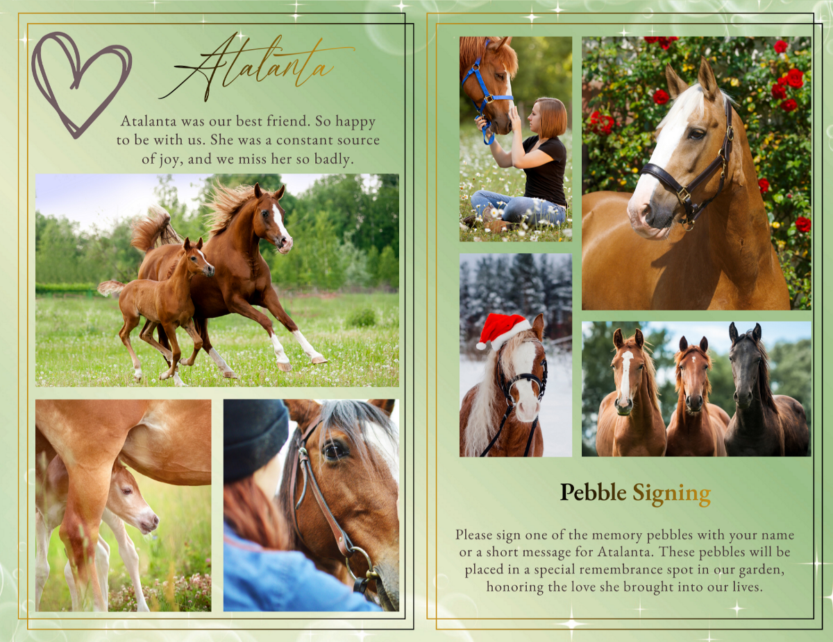 Photo collage tribute spread featuring horse portraits, foal and mare running together in open pasture, and close-up bonding moments arranged in soft green memorial layouts.