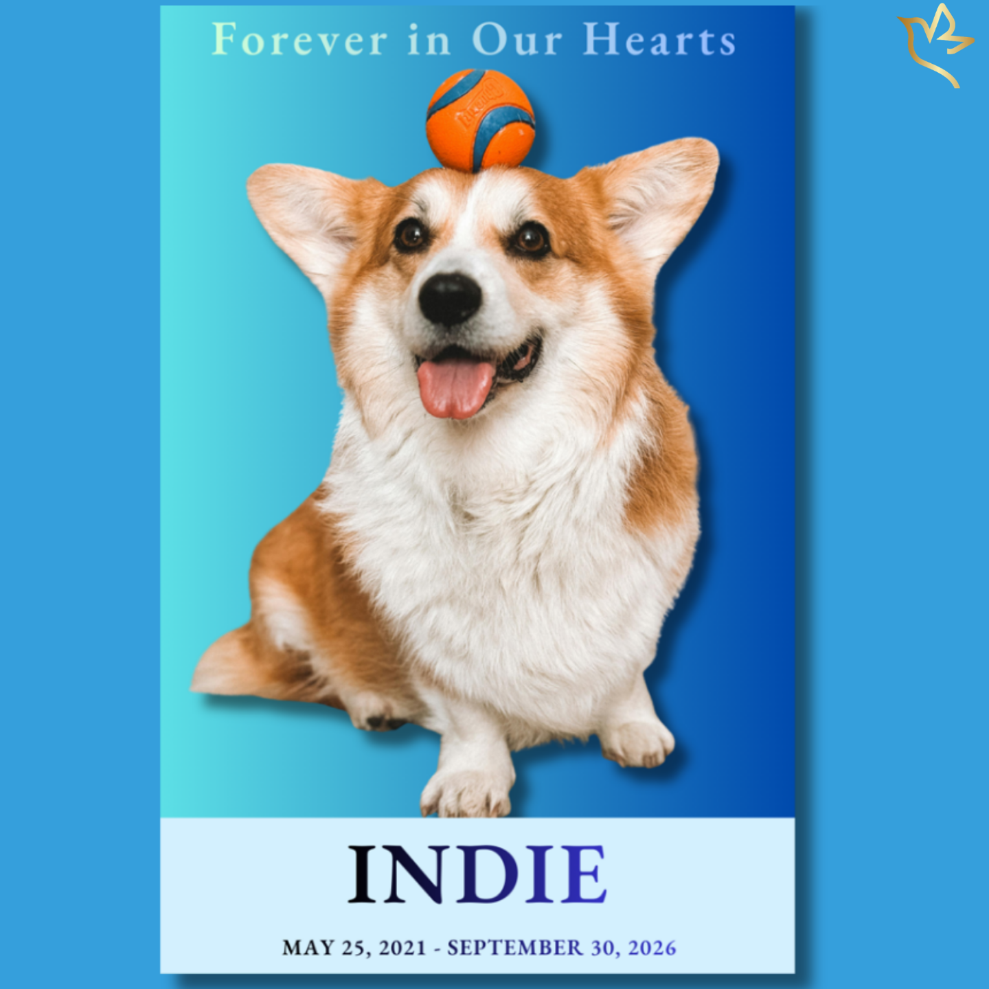 Forever Faithful pet dog funeral program cover featuring a joyful corgi with an orange ball balanced on his head against a blue gradient background, honoring a beloved dog with warmth and personality.
