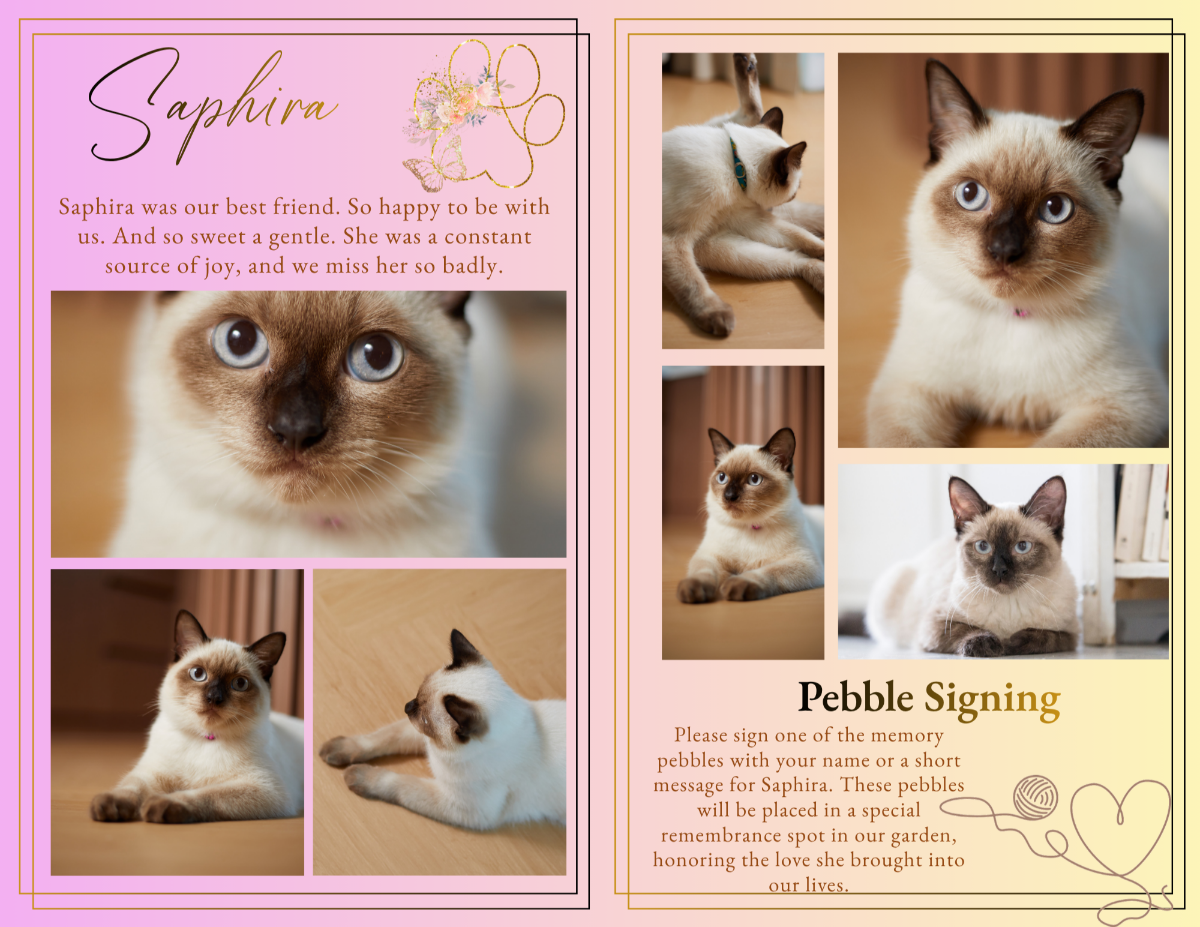 Photo collage pages displaying multiple cat images in a clean, organized layout with a soft purple aesthetic.