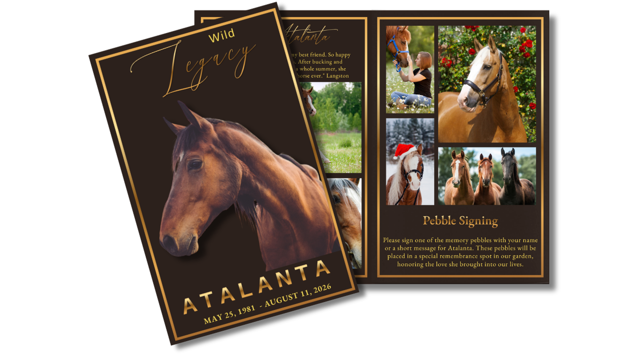 Horse memorial program featuring elegant brown and gold styling, horse photographs, tribute pages, and coordinated remembrance layouts honoring a beloved equine companion.