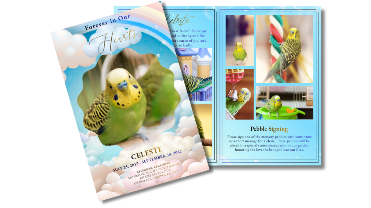 Front cover displayed beside interior pages, showing the coordinated cloud and rainbow memorial theme across cover, collage, obituary, and tribute layouts.
