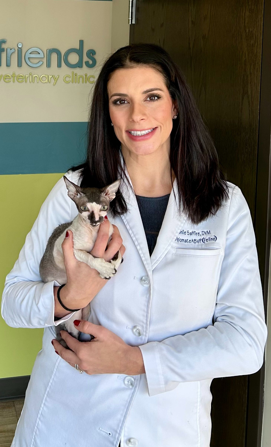 RACE Approved Online CE for Veterinary Continuing Education