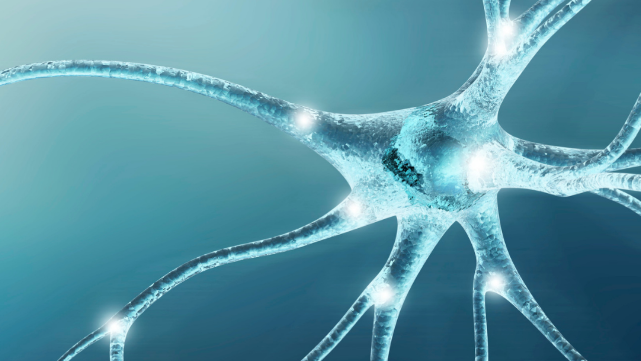 Abstract neural network illustration representing nervous system pathways