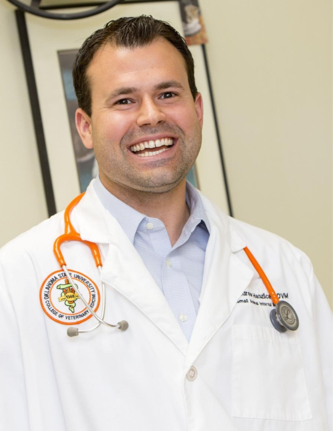 Dr. Andrew Hanzlicek, DVM, MS, DACVIM, veterinary internal medicine specialist