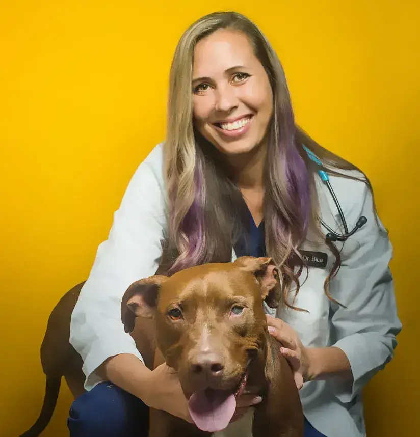 Dr. Angele Bice, DVM, private practice owner and shelter medicine veterinarian