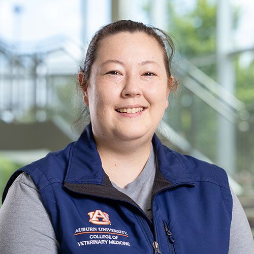 RACE Approved Online CE for Veterinary Continuing Education
