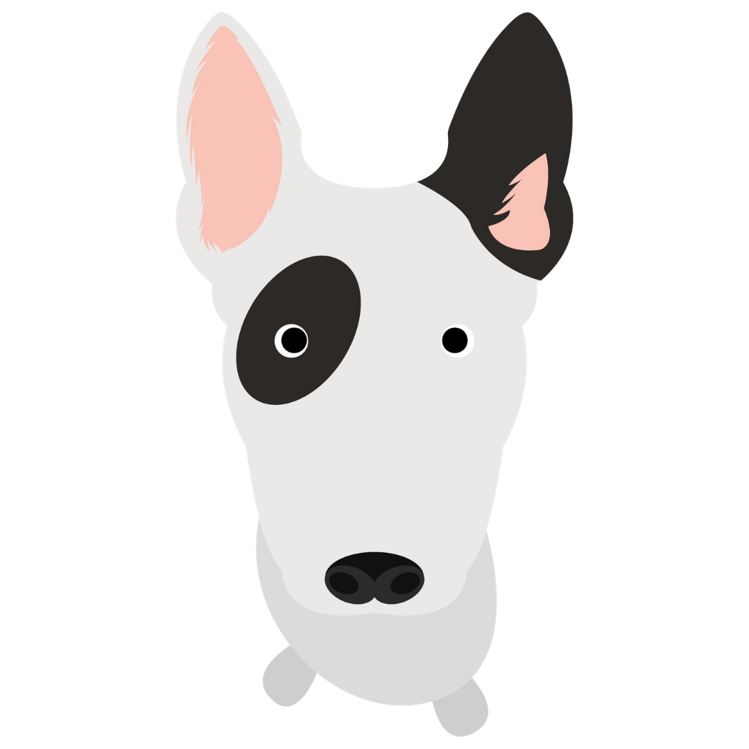 White dog with a black ear patch, peeking over the edge of the section.