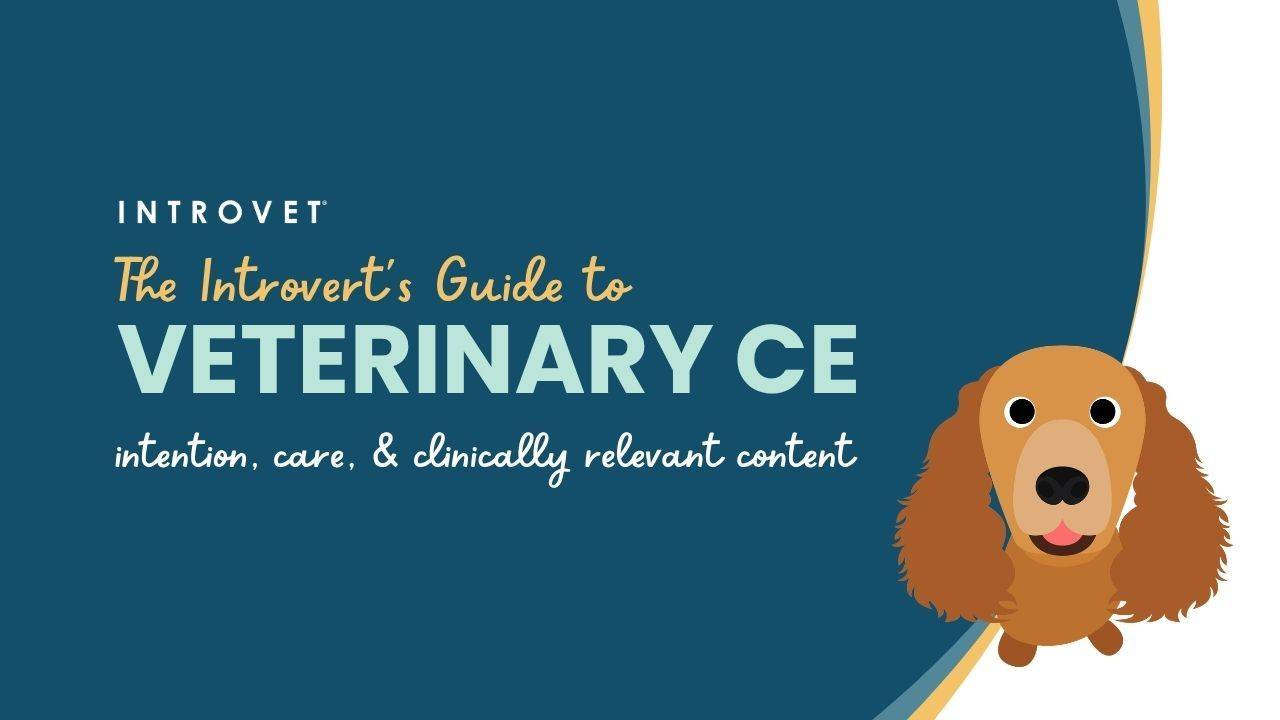 Veterinary CE Guide for Introverts