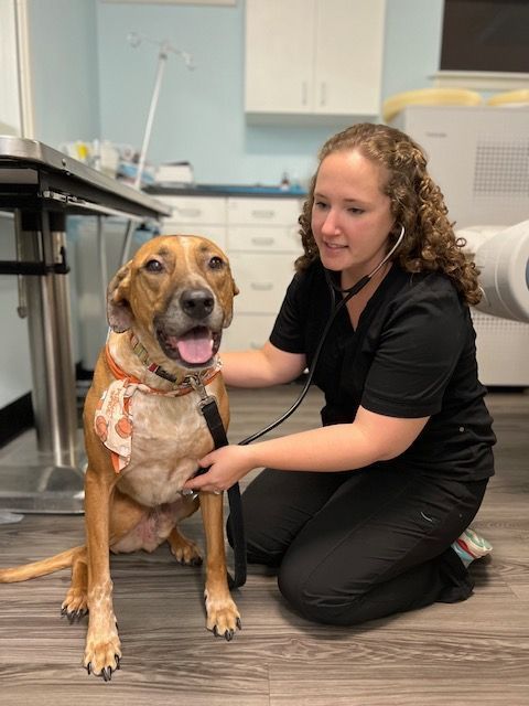 Dr. Jenni Rizzo and Pistol Pete at a Checkup