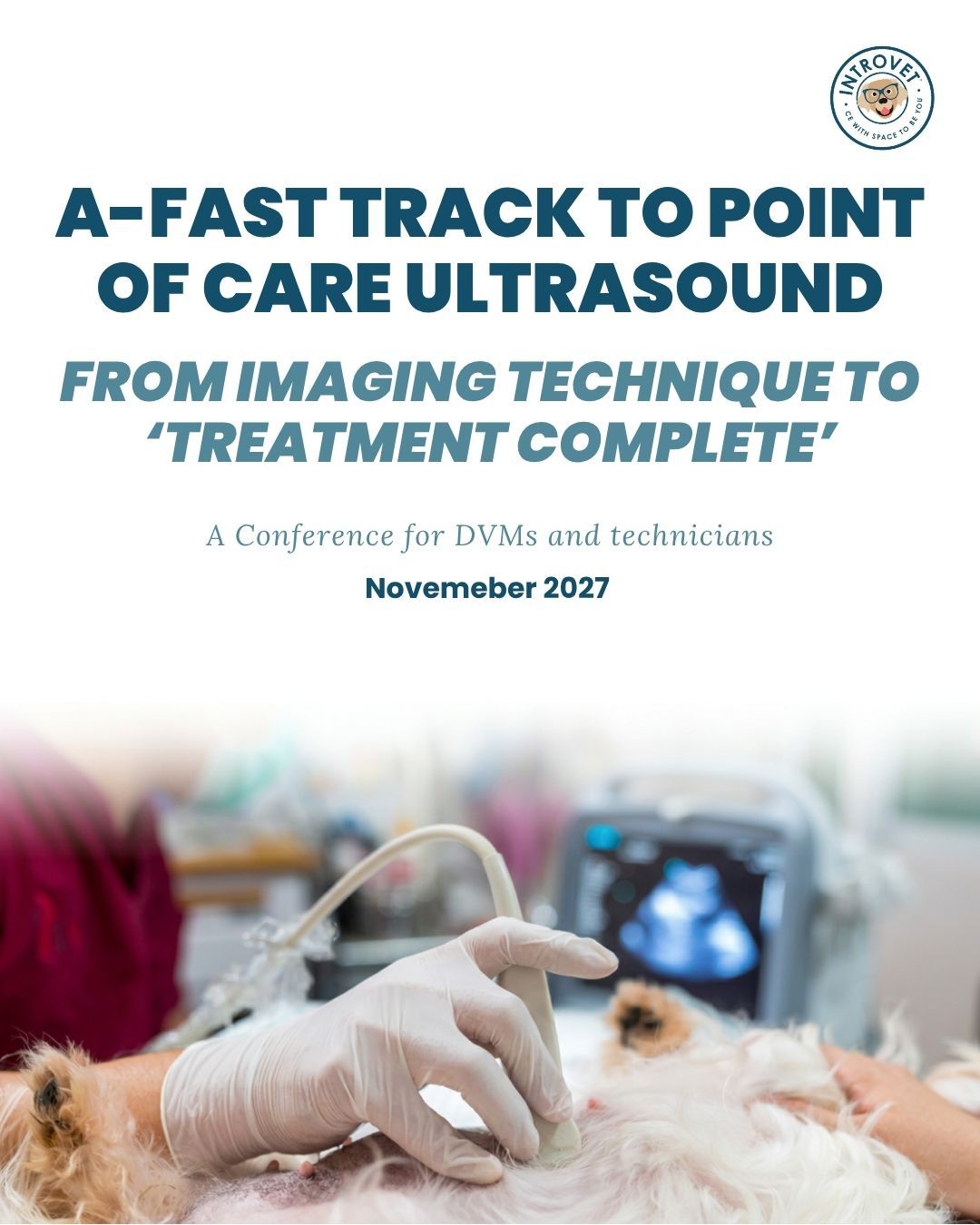 IntroVet 2027 In-Person Conference
