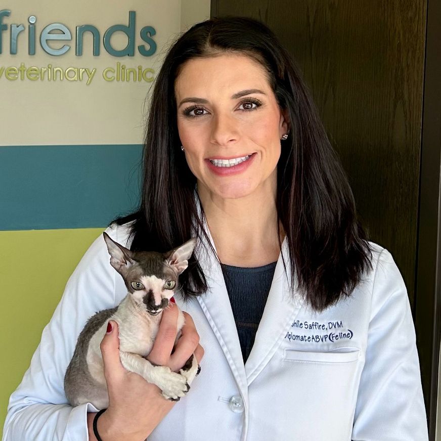 Ashlie Saffire DVM, DABVP (Feline)