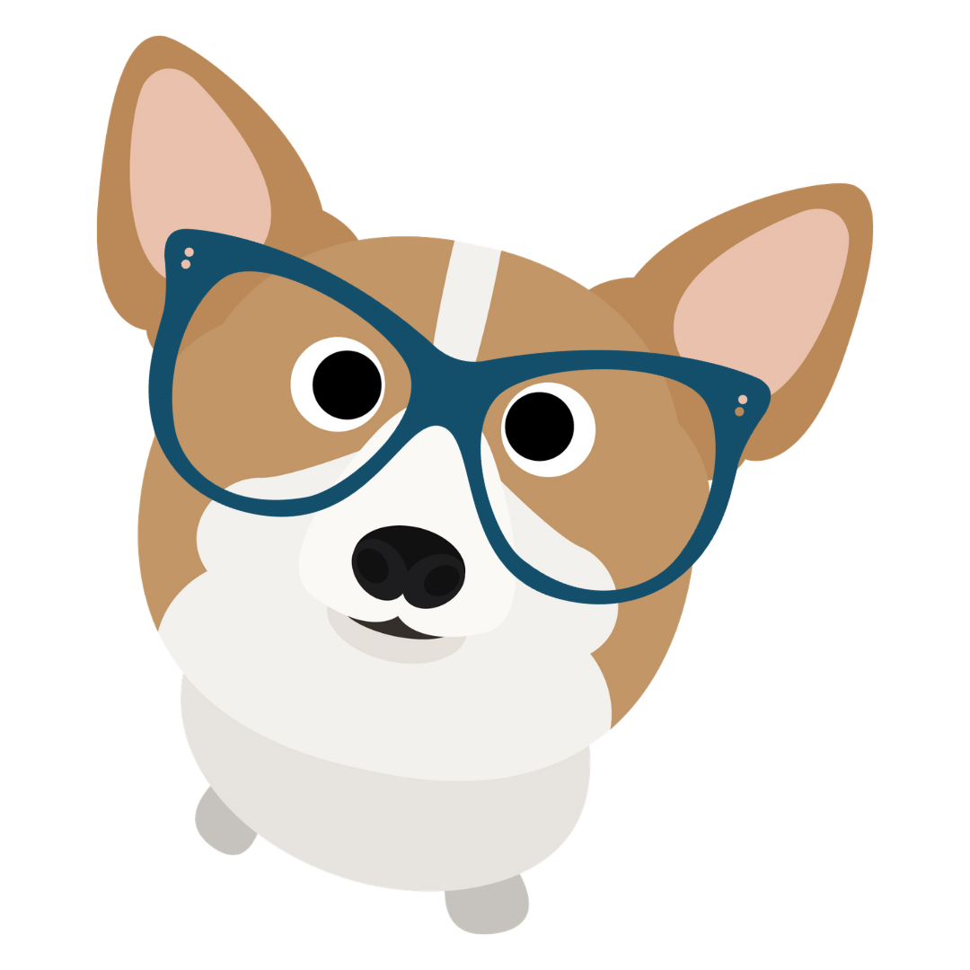 Corgi wearing navy glasses, peeking over the edge of the section.