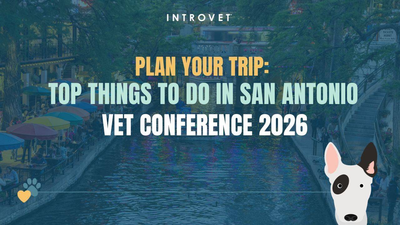 San Antonio River Walk during theAll Eyes on Ophthalmology vet conference