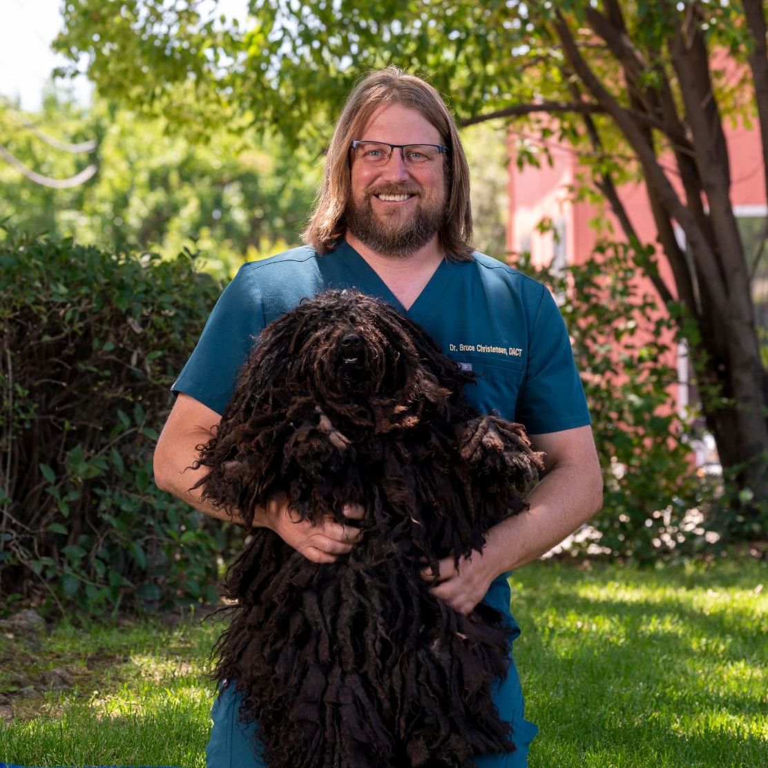 Bruce W. Christensen DVM, MS, DACT